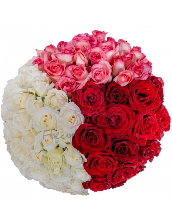 jardin-de-roses