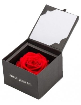 Rose-dInfini-avec-mot